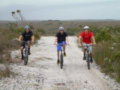 West Coast MTB Day Tour